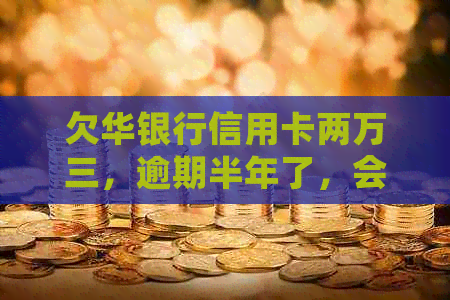 欠华银行信用卡两万三，逾期半年了，会做牢吗？-华夏信用卡2万逾期半年多