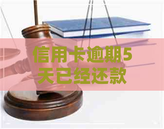 信用卡逾期5天已经还款