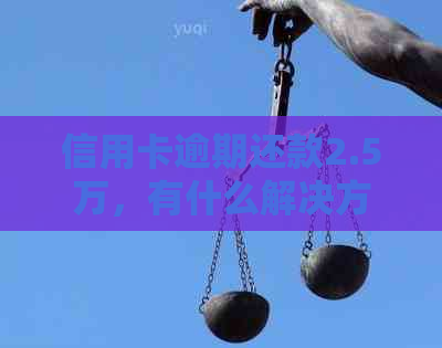 信用卡逾期还款2.5万，有什么解决方法吗？