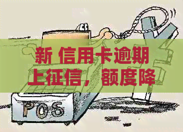 新 信用卡逾期上，额度降低的可能性及相关应对策略