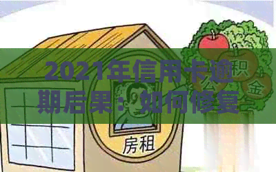 2021年信用卡逾期后果：如何修复信用报告并避免影响？