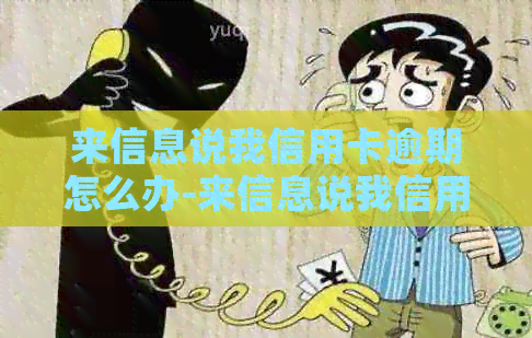 来信息说我信用卡逾期怎么办-来信息说我信用卡逾期怎么办呢