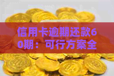 信用卡逾期还款60期：可行方案全面解析与应对建议