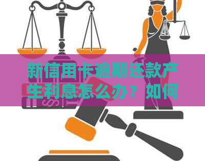 新信用卡逾期还款产生利息怎么办？如何避免逾期风险？