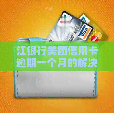 江银行美团信用卡逾期一个月的解决办法和应对措
