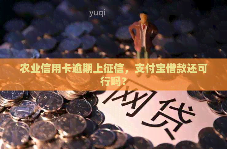 农业信用卡逾期上，支付宝借款还可行吗？