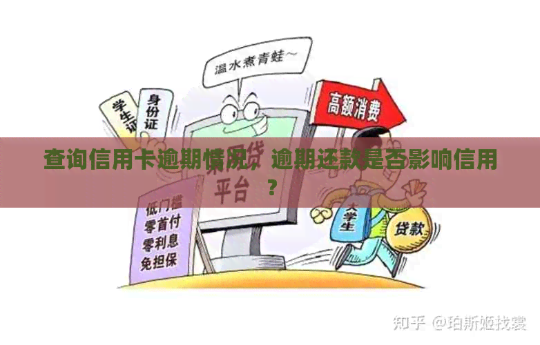查询信用卡逾期情况，逾期还款是否影响信用？