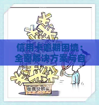 信用卡逾期困境：全面解决方案与自救指南-信用卡 逾期怎么办