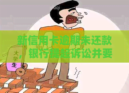 新信用卡逾期未还款，银行提起诉讼并要求进行经侦调查