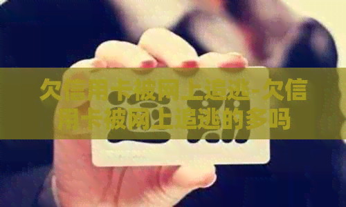 欠信用卡被网上追逃-欠信用卡被网上追逃的多吗