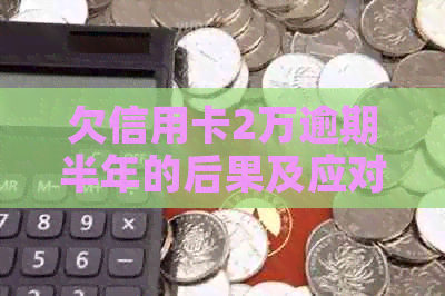 欠信用卡2万逾期半年的后果及应对方法