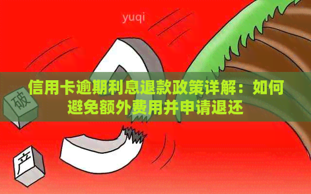 信用卡逾期利息退款政策详解：如何避免额外费用并申请退还