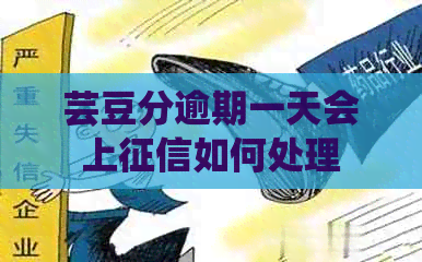 芸豆分逾期一天会上如何处理
