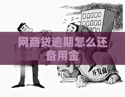 网商贷逾期怎么还备用金