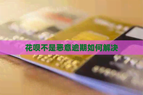 花呗不是恶意逾期如何解决