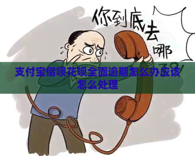支付宝借呗花呗全面逾期怎么办应该怎么处理
