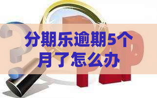 逾期5个月了怎么办