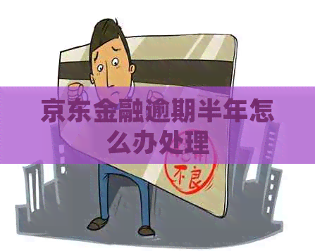 京东金融逾期半年怎么办处理