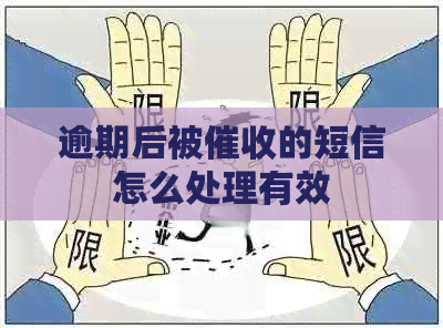 逾期后被的短信怎么处理有效