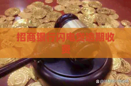 招商银行闪电贷逾期收费