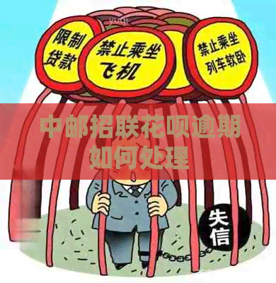 中邮招联花呗逾期如何处理