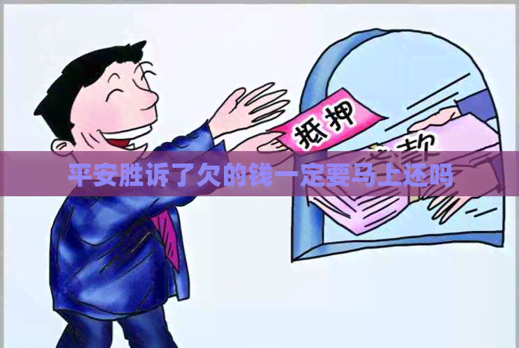 平安胜诉了欠的钱一定要马上还吗
