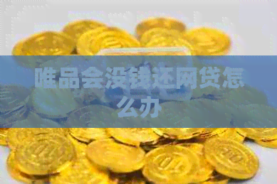 唯品会没钱还网贷怎么办