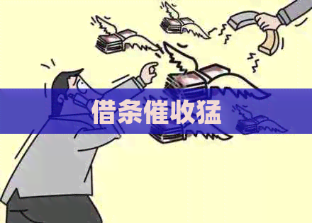 借条猛