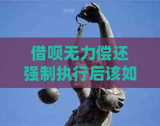借呗无力偿还强制执行后该如何应对