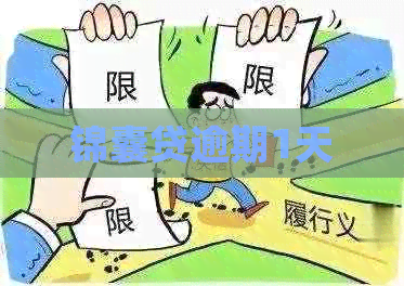 锦囊贷逾期1天