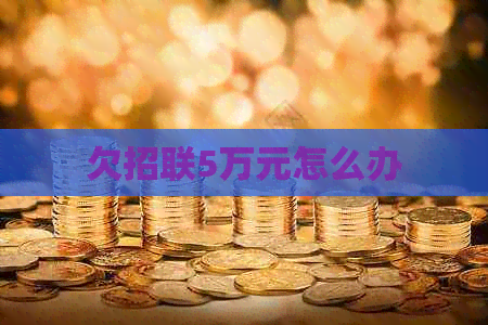 欠招联5万元怎么办