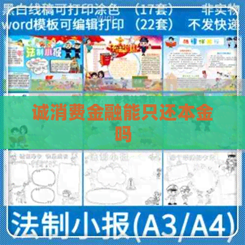 诚消费金融能只还本金吗