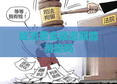城消费金融逾期能消除吗