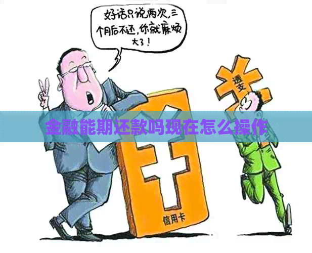金融能期还款吗现在怎么操作