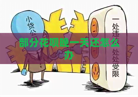 部分花呗晚一天还怎么办