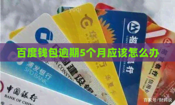 百度钱包逾期5个月应该怎么办