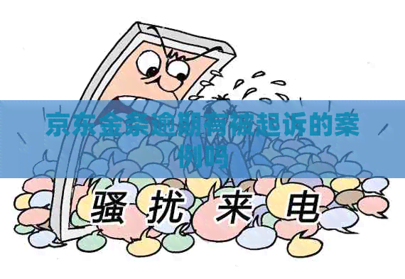 京东金条逾期有被起诉的案例吗
