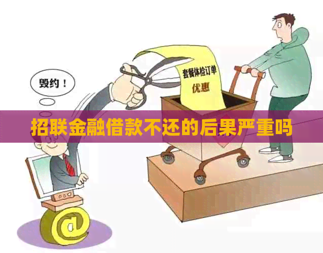 招联金融借款不还的后果严重吗