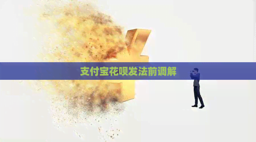 支付宝花呗发法前调解