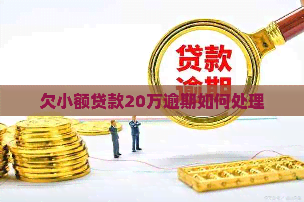 欠小额贷款20万逾期如何处理