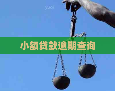 小额贷款逾期查询