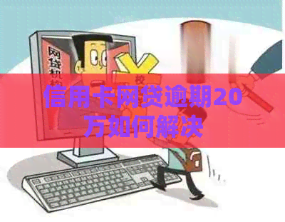 信用卡网贷逾期20万如何解决