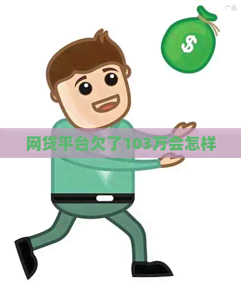 网贷平台欠了103万会怎样