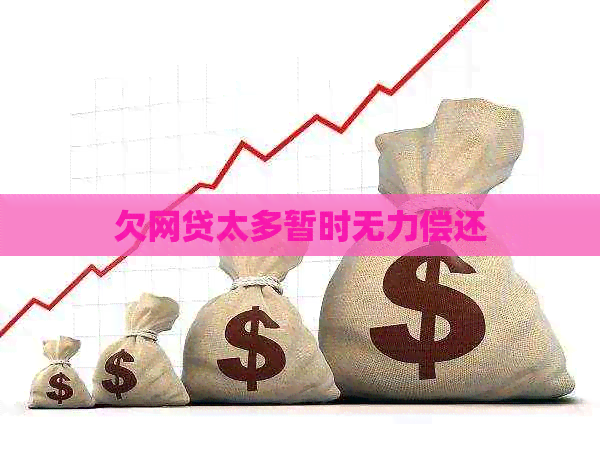 欠网贷太多暂时无力偿还