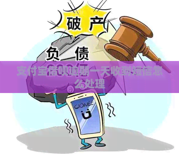 支付宝借呗逾期一天收到短信怎么处理