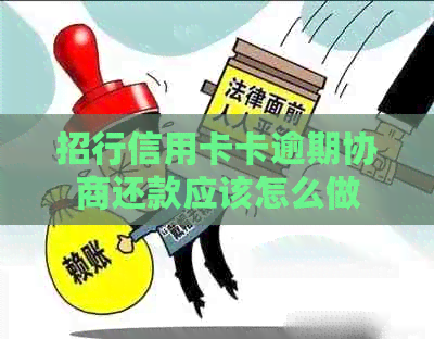 招行信用卡卡逾期协商还款应该怎么做