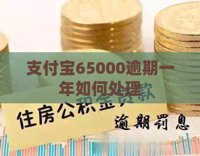 支付宝65000逾期一年如何处理
