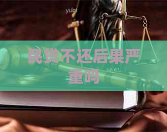 民贷不还后果严重吗