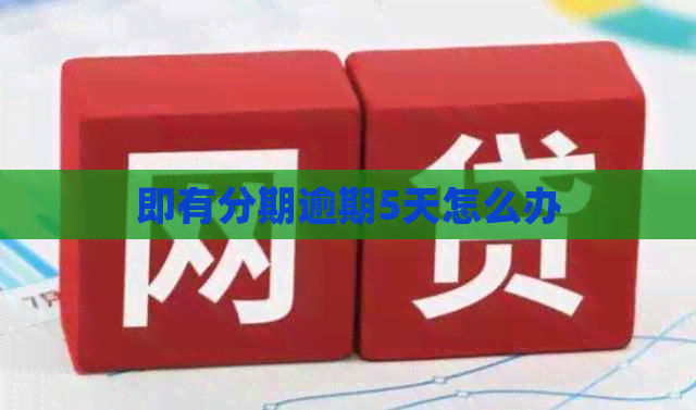 即有分期逾期5天怎么办