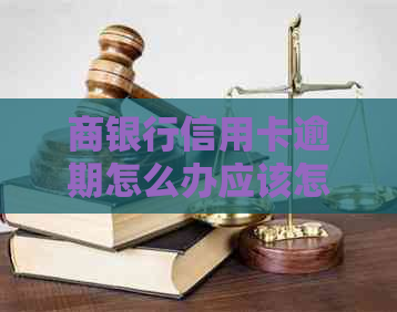 商银行信用卡逾期怎么办应该怎样处理